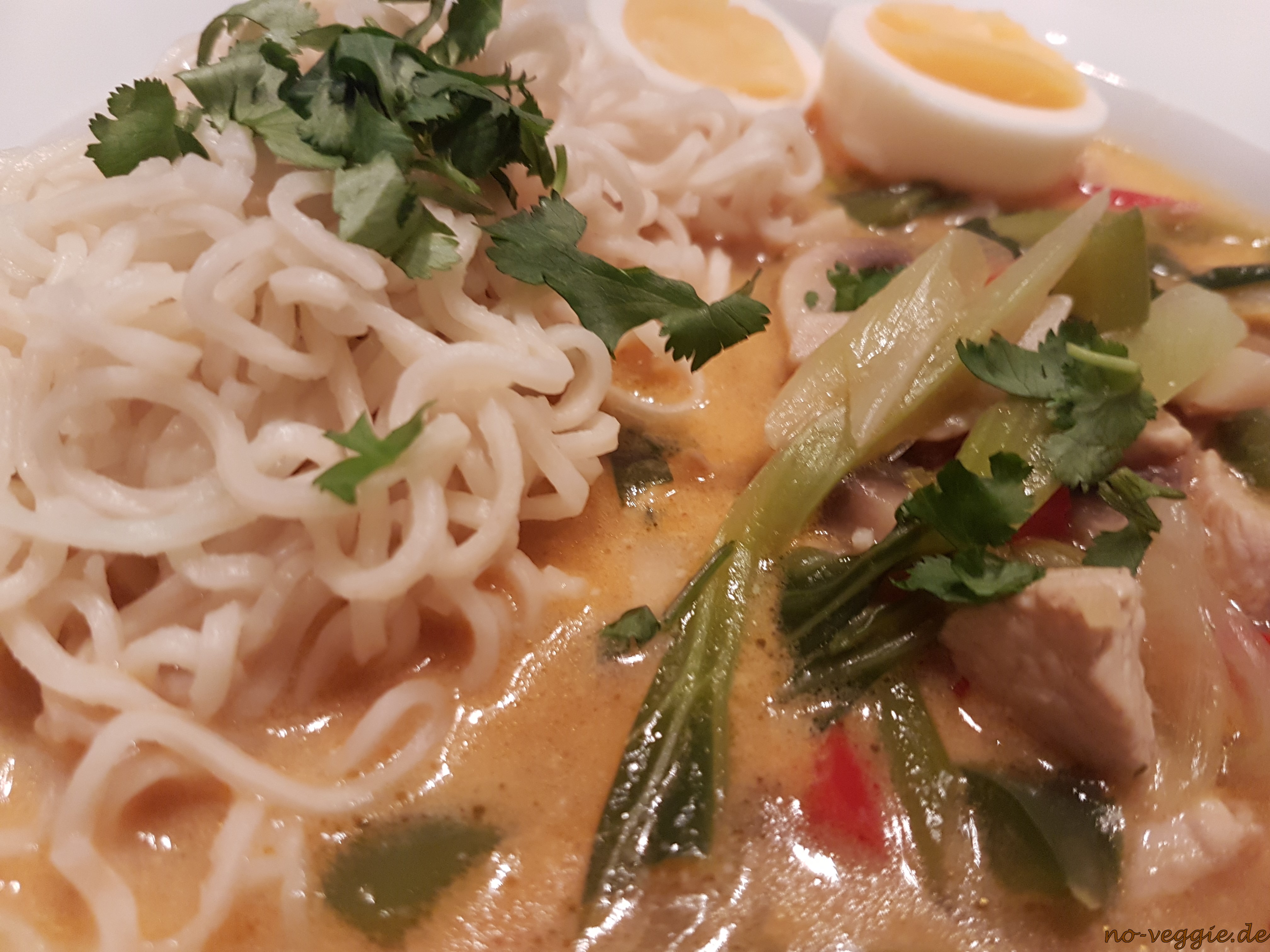 Thai Suppe mit Hühnchen und Kokos - no veggie