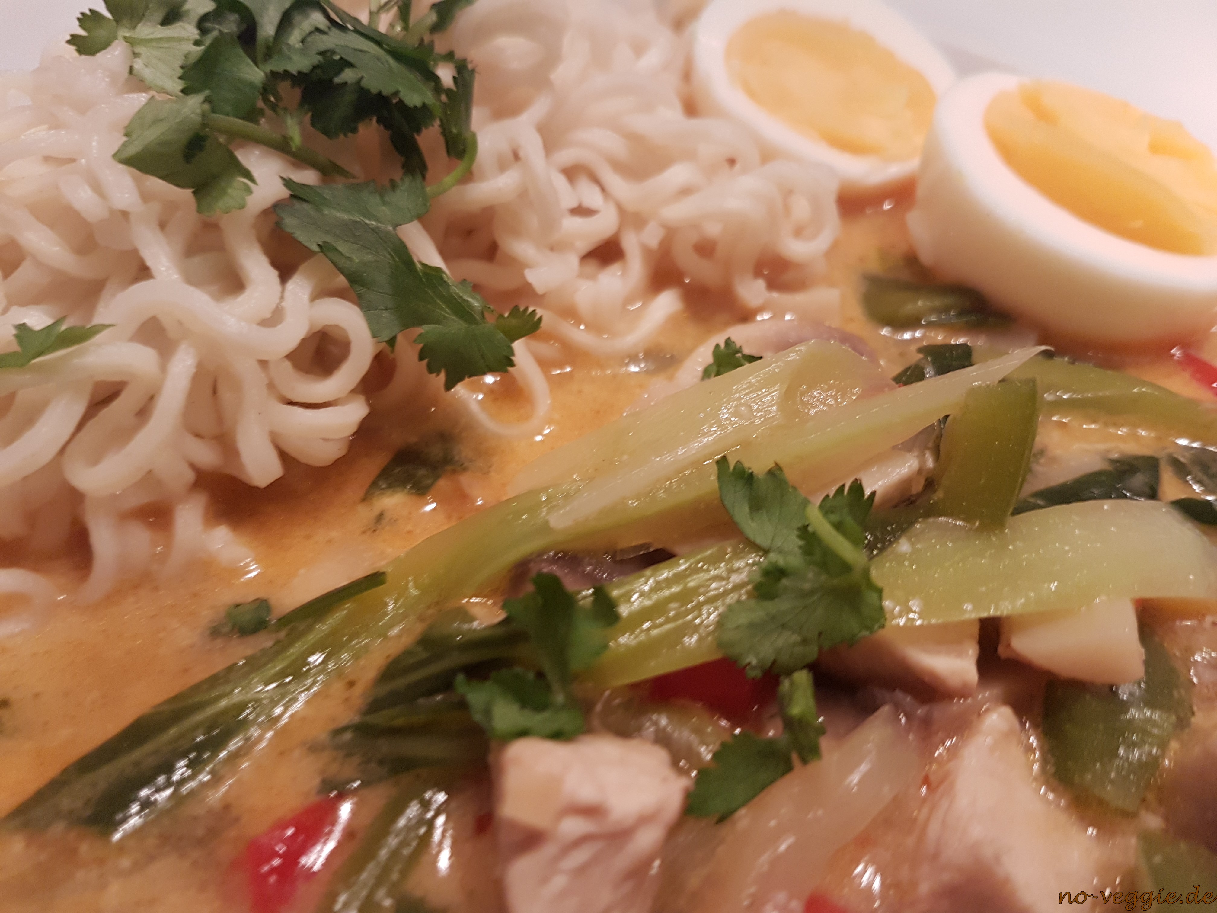 Thai Suppe mit Hühnchen und Kokos - no veggie