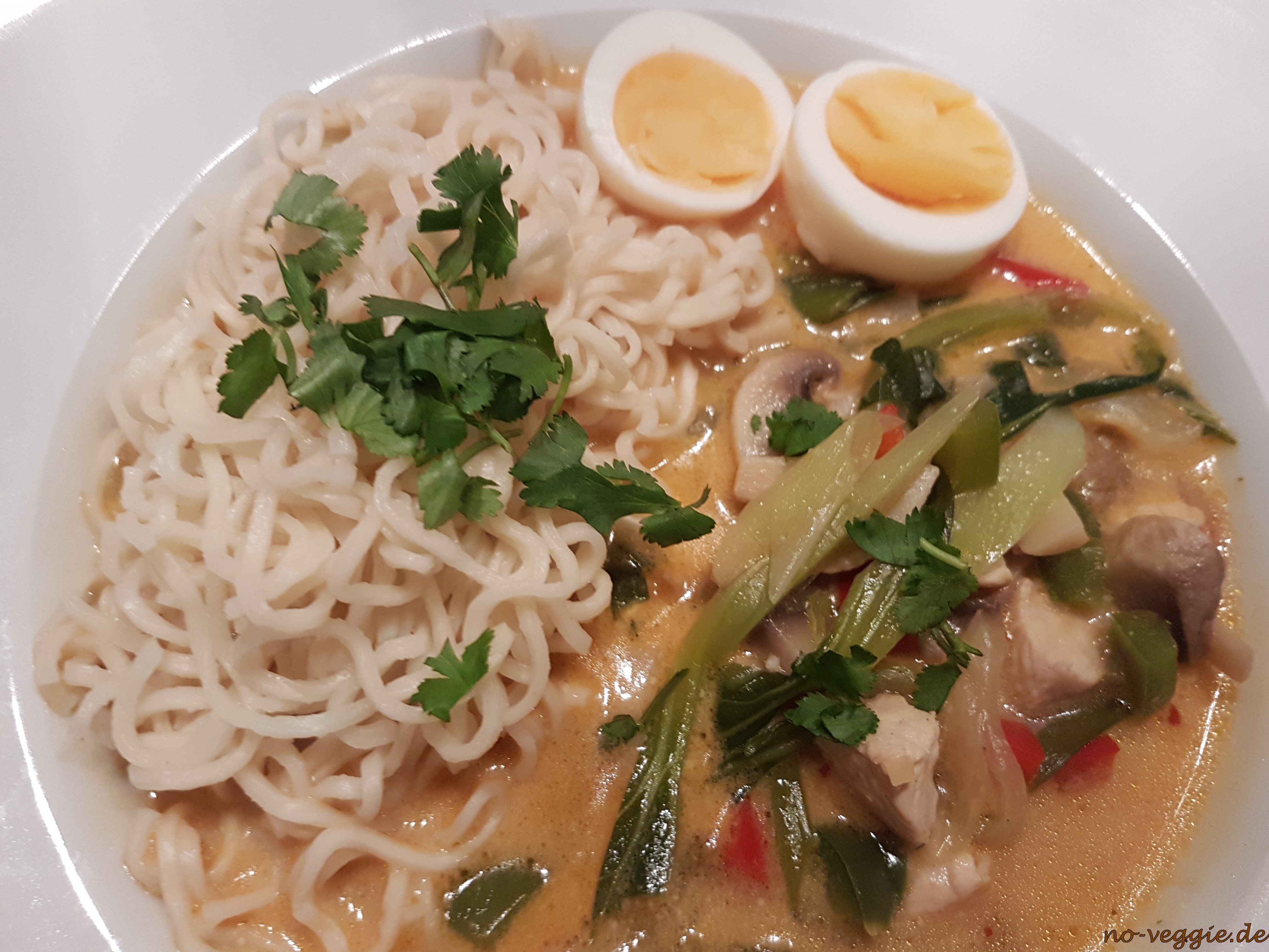 Thai Suppe mit Hühnchen und Kokos - no veggie