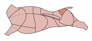 rind-schwanzstueck